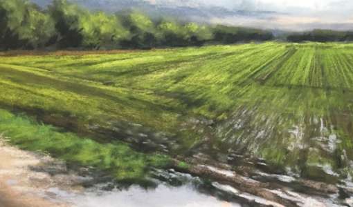Von Regenfront bis Sommergewitter - Wetter in Pastell