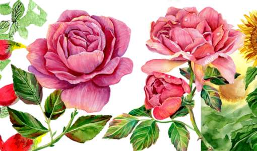 After Work: Realistische Blumen Malen leicht gemacht
